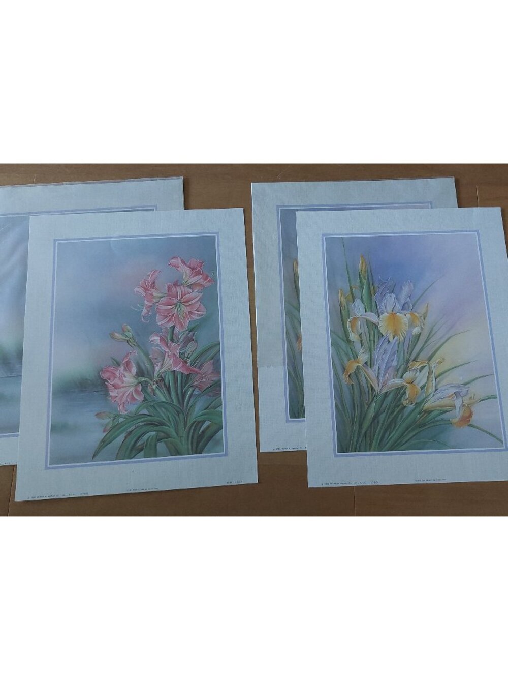 Vintage 80s Litho Art Print Lot Set 8 ANNA CHEN Iris Lily Flowers Arthur Kaplan